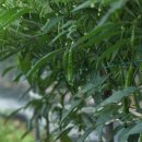 준앤준농장 이미지