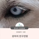 뉴하트동물병원 이미지