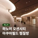 시티 | 하노이 찜질방 추천 아쿠아필드 오션시티 후기 신상 힐링 명소