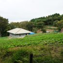 금산2