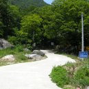 석장승(남장사) 이미지