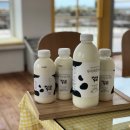 어니스트제주