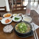 서호동-53 | 제주살이 +53 | 한라산 영실코스, 윗세오름🌸