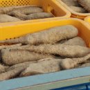 동윤농장 이미지