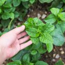 남해-300 이미지