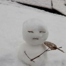 (주)제일자동차운전전문학원