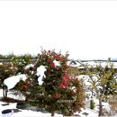 한옥호텔영산재 이미지