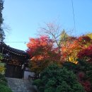 카페수련 | 한옥카페 선운각 <수련하다> 후기