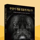 지킴메디 이미지