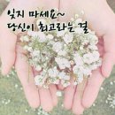 미화직업소개소 이미지