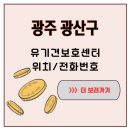 광주광역시 동물보호센터 | 광주 광산구 유기견보호센터 보호소의 아침 햇살 아래, 유기견들이 새 삶을 꿈꾸다