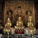 강진-14 | 국보313호 강진 무위사 극낙전아미타여래 삼존벽화