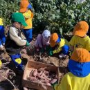 행복한아이유치원 이미지