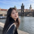 뼈대여행 - 진주시 도동로231번길 7 | 20대 여자 혼자 유럽여행 후기 : 이탈리아+동유럽 세미패키지