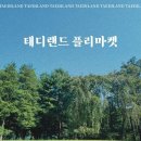 태디랜드