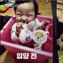 정인유치원 이미지