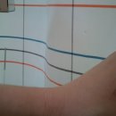 이원규농장 이미지