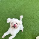 시흥유치원 이미지