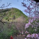 땅통종주＜6＞(호남2/토끼재~노고치) 57 km.. 호남 그 길은 사랑이어라.. 이미지