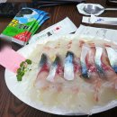 매화수산 | 동문시장 우리수산 제주도 제주시 고등어회 딱새우회 먹거리 맛집