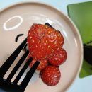 심쿵플레이스 | 투썸플레이스 두초생 후기 (두쫀쿠보다 맛있음?)