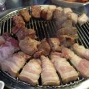 제주명돼지 - 47636 | 제주명돼지
