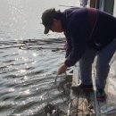 연안낚시터 이미지