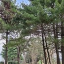 선학역 티스토리