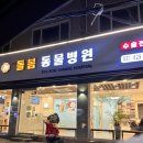 녹양동물병원 | [의정부 동물병원] 강아지 심장병 이첨판폐쇄부전증 약 처방 / 과잉진료 없는 병원