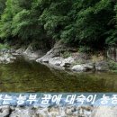 꿈에농장 이미지