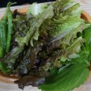 산호 농장 이미지