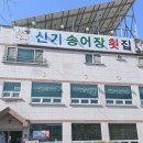 거기 송어비빔회 | 괴산 송어회 캠핑 음식으로 딱! 신기송어장횟집 송어회, 송어 비빔회와 매운탕 후기