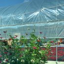 정미농협 하나로마트 이미지