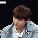 젤리댕댕이 이미지