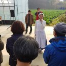 서울농산 이미지