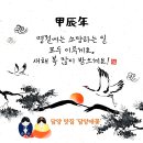 담양약국 네이버블로그