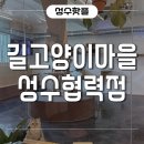 착한건강마을 | 성수 실내 데이트 추천! 착한 소비가 가능한 서울 힐링카페 &#39;길고양이마을&#39; 후기