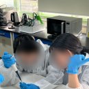 논현고등학교 | PCR의 원리를 이해하고, 돌연변이를 찾아보자! [PCR 돌연변이 /25.5.12 인천광역시 논현고등학교]