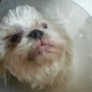 경동동물병원 이미지