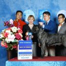 티나코리아 이미지