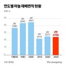 남해 마늘이 사라지고 있다. 이미지