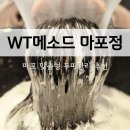명약국 | 마포두피관리 두피냄새 고민 맞춤형 케어 WT메소드 마포점