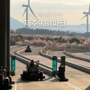 981 | 제주 카트 981파크 2인승 제주도 서쪽 액티비티