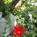 은석농장 이미지