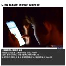 노안 - 1319 | 노안