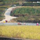 노동마을 화장실 이미지