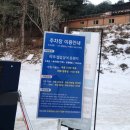 [일상] 연말 수원 파주 여행 +마장호수 출렁다리, 조은 도넛, 용인 펜션 고기리 393후기