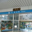 아름이발