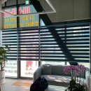 더 조은 스크린 이미지