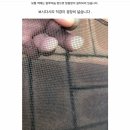 아름두리 이미지